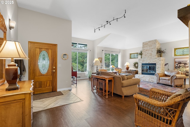 living room featuring baseboards, wood finished floors, and a fireplace