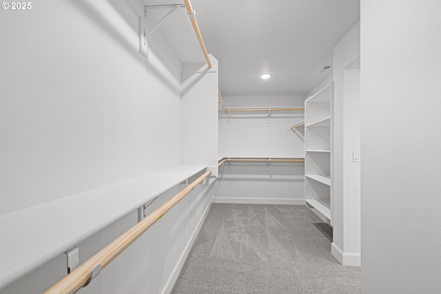 spacious closet featuring light colored carpet