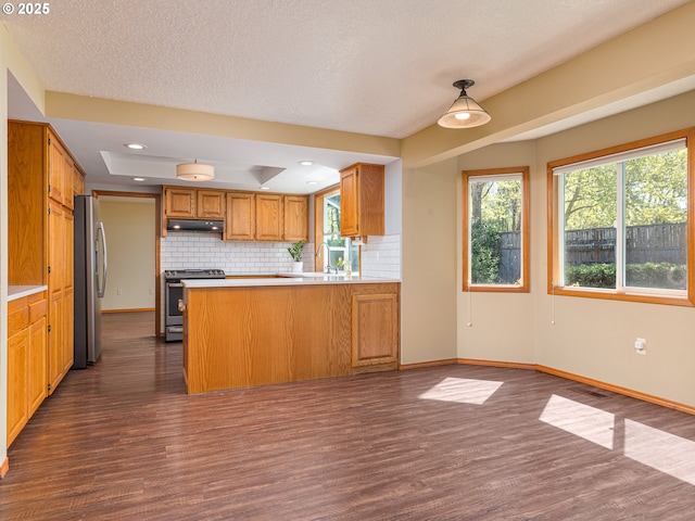 kitchen with dark wood-style flooring, tasteful backsplash, light countertops, under cabinet range hood, and stainless steel appliances