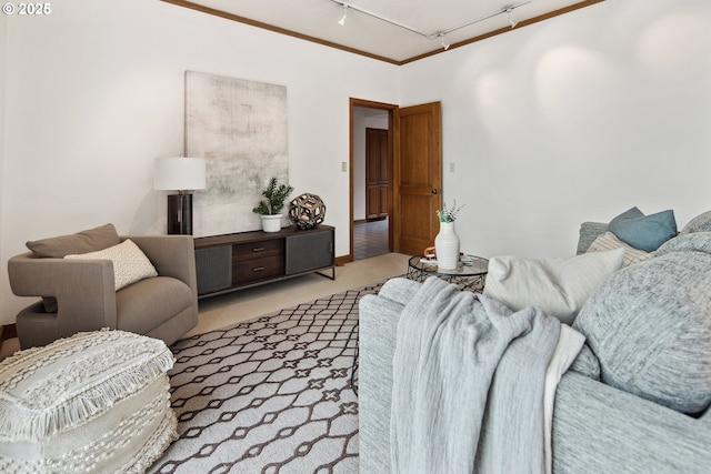 living area with rail lighting and light carpet