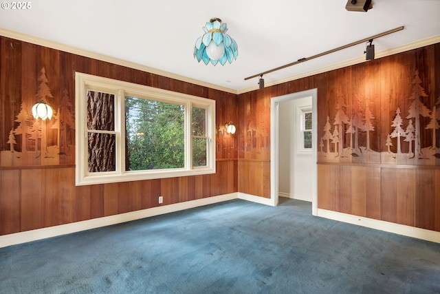 unfurnished room featuring carpet, track lighting, and wooden walls