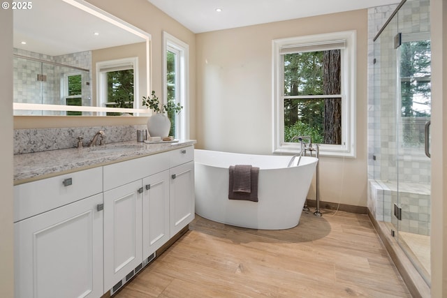 full bath featuring a healthy amount of sunlight, a shower stall, and vanity