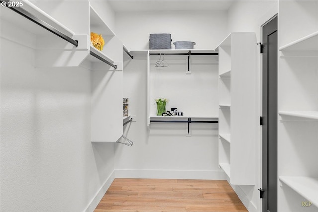 spacious closet featuring wood-type flooring