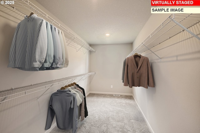 walk in closet featuring carpet floors