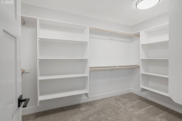 195 Iowa St, Silverton, OR 97381 - spacious closet with carpet floors
