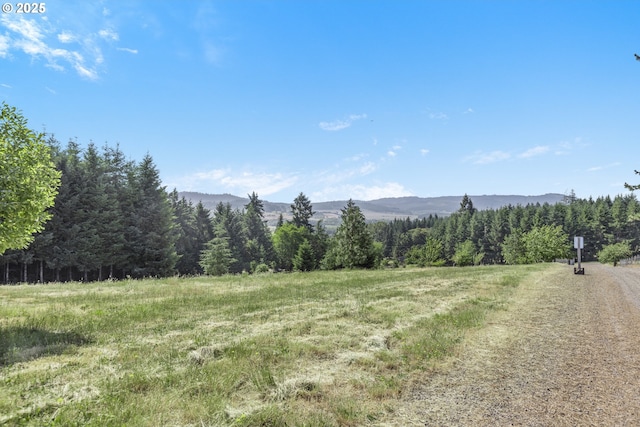 25053 Larson Rd, Monroe, OR 97456 - mountain view with rural landscape and a heavily wooded area