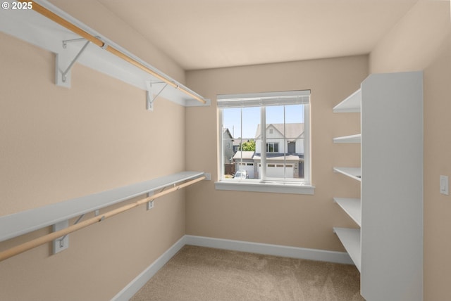 1803 35th Ave, Forest Grove, OR 97116 - spacious closet featuring carpet