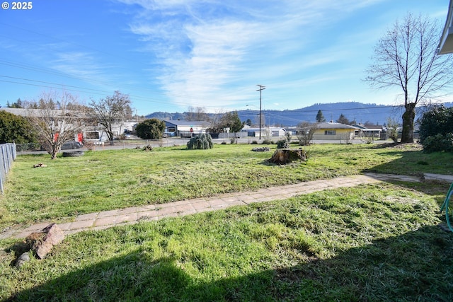 151 NW Sherry St, Winston, OR 97496 - view of yard