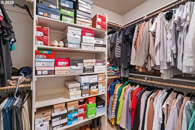 view of spacious closet