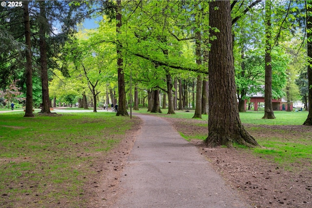 surrounding community with a lawn