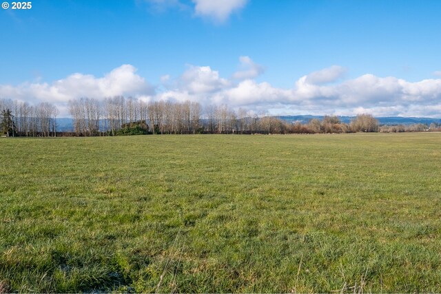 view of yard featuring a rural view