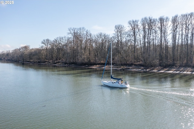 water view featuring a view of trees