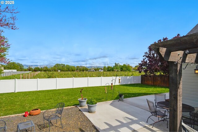 view of patio / terrace with a fenced backyard
