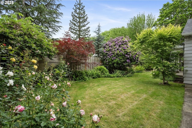 6116 SE 36th Ave, Portland, OR 97202 - view of yard