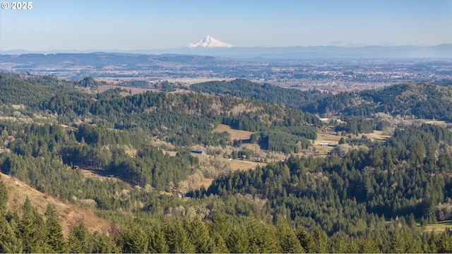 view of mountain feature