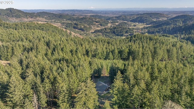 bird's eye view featuring a mountain view