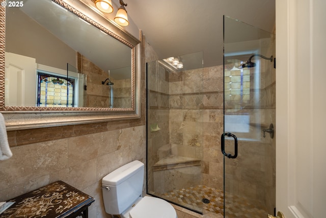 bathroom featuring vaulted ceiling, toilet, and walk in shower