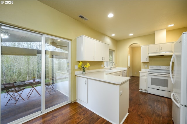 1367 Cramner St, Lafayette, OR 97127 - kitchen featuring white appliances, under cabinet range hood, dark wood-style floors, a sink, and recessed lighting