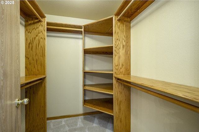 1367 Cramner St, Lafayette, OR 97127 - spacious closet featuring carpet floors