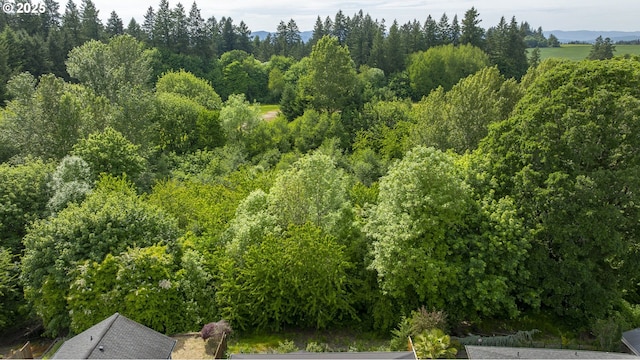 1367 Cramner St, Lafayette, OR 97127 - aerial view of a heavily wooded area