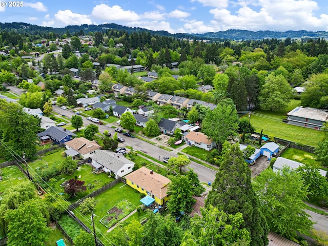bird's eye view
