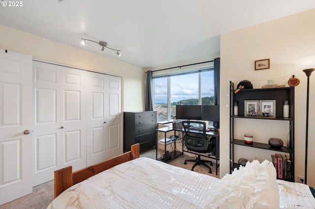 carpeted bedroom featuring a closet