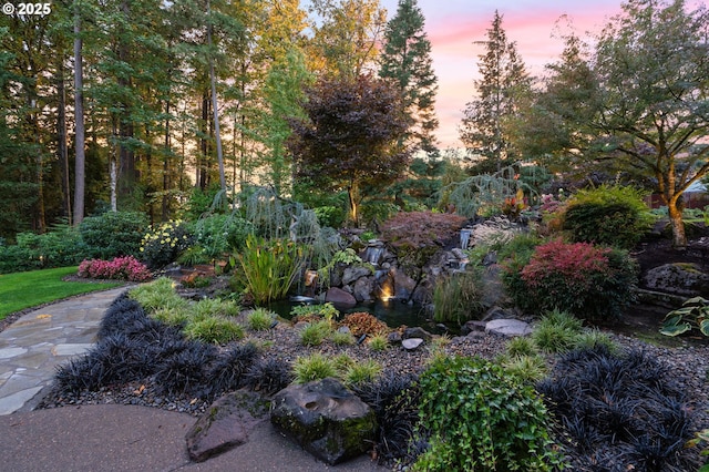 view of yard at dusk