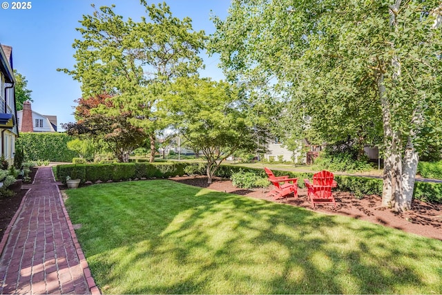 6209 SE 13th Ave, Portland, OR 97202 - view of grassy yard
