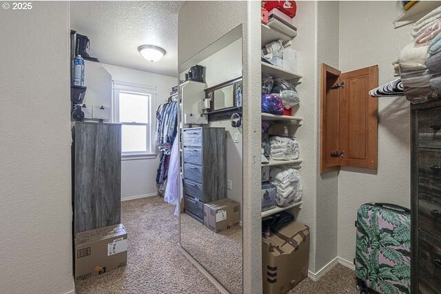 2021 Pikes Pass Ct, Salem, OR 97306 - spacious closet with carpet flooring