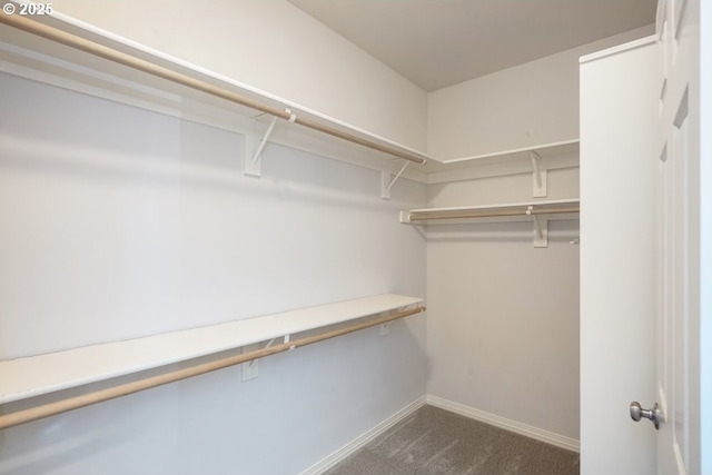 13037 SW Ascension Dr, Portland, OR 97223 - walk in closet with dark carpet