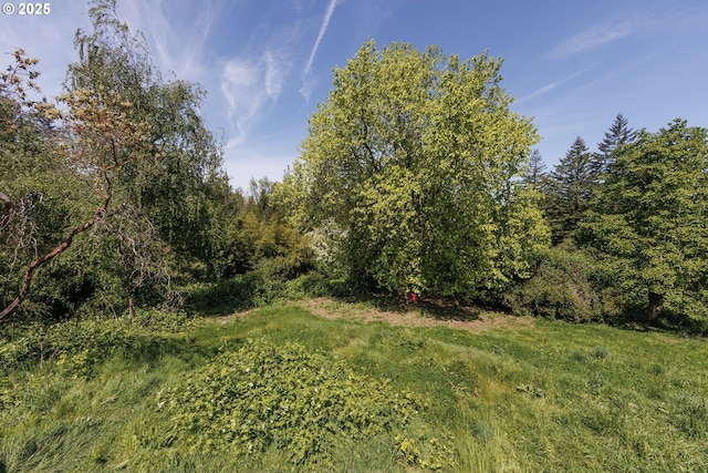 view of undeveloped land