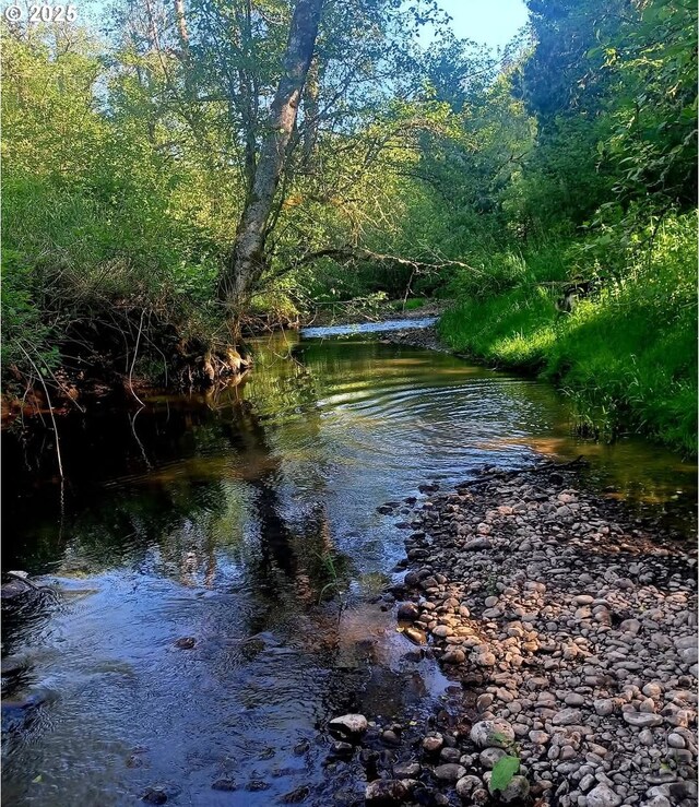 water view featuring a forest