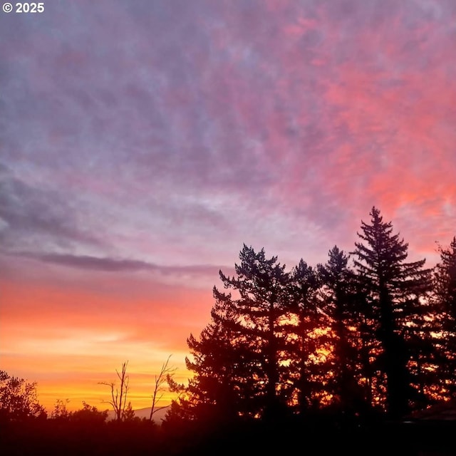 view of nature at dusk