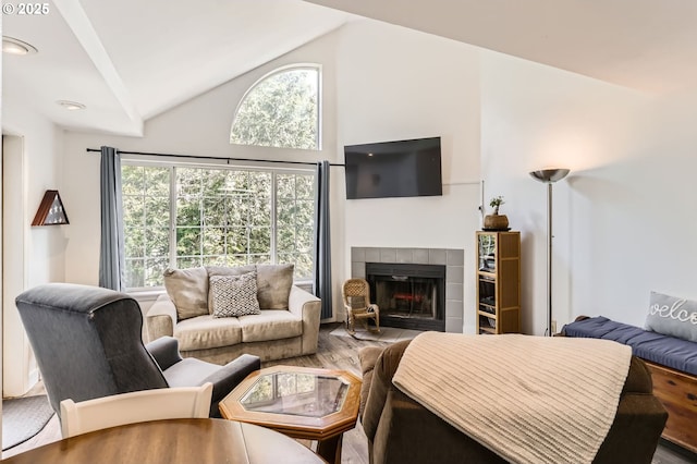 living area featuring high vaulted ceiling, wood finished floors, and a fireplace