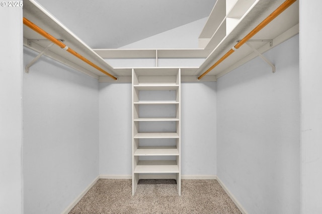 spacious closet with light carpet