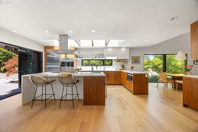 2930 NW Quimby St, Portland, OR 97210 - kitchen with modern cabinets, built in appliances, a sink, a skylight, and light wood-type flooring