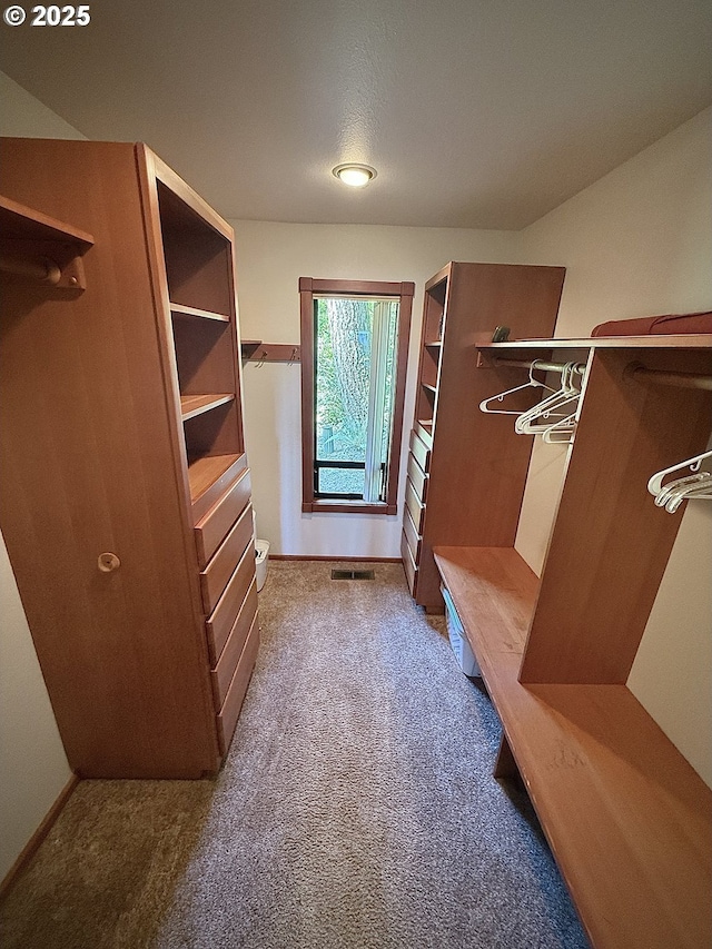spacious closet featuring carpet and visible vents