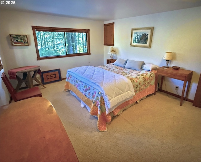 bedroom with light colored carpet