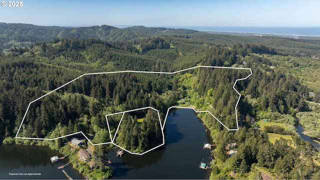 aerial view featuring a water and mountain view and a forest view