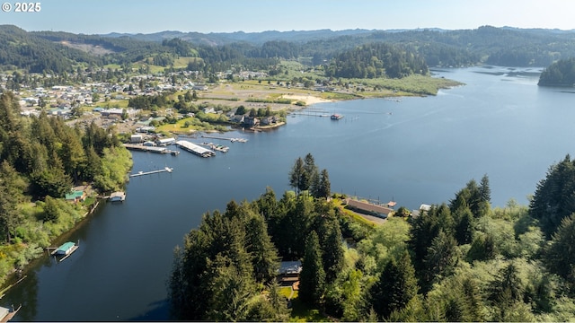 drone / aerial view with a water and mountain view