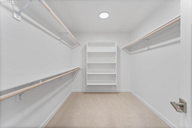 walk in closet with light colored carpet