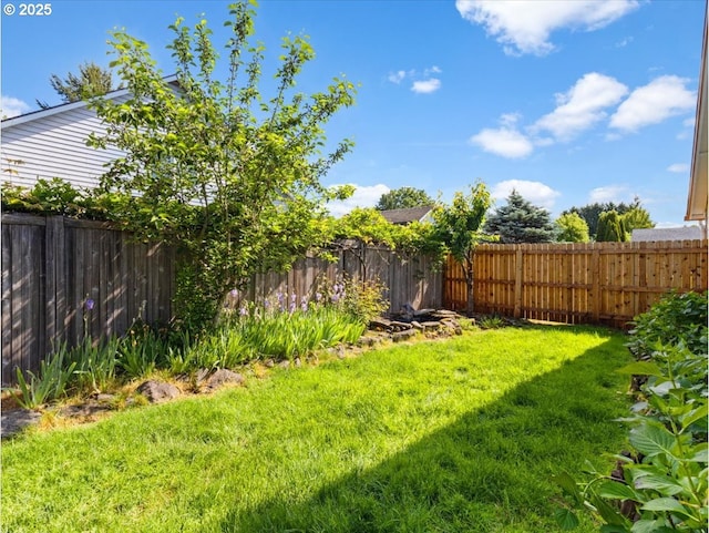 1908 NW 4th Ave, Battle Ground, WA 98604 - view of yard