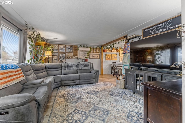 living room featuring hardwood / wood-style floors and a textured ceiling