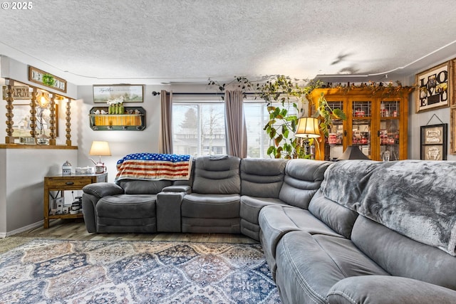 living room featuring a textured ceiling