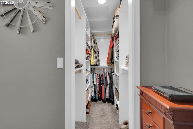 walk in closet featuring carpet flooring