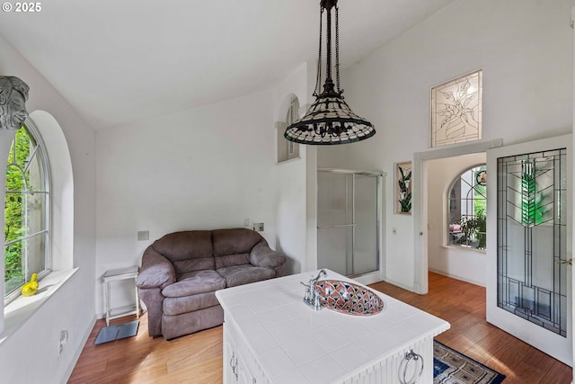 93652 E Blue Bird Ln, North Bend, OR 97459 - living room featuring light wood-style floors and high vaulted ceiling