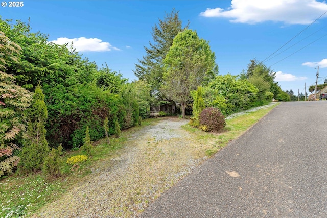 93652 E Blue Bird Ln, North Bend, OR 97459 - view of street