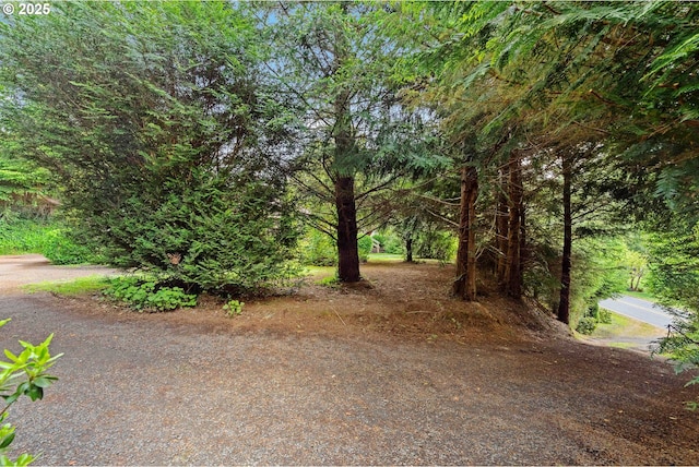 93652 E Blue Bird Ln, North Bend, OR 97459 - view of yard
