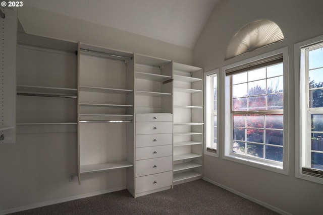 spacious closet featuring vaulted ceiling and carpet floors