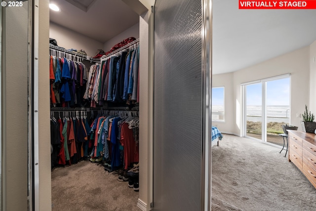 walk in closet featuring carpet